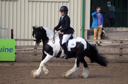 CHAPS Online Dressage